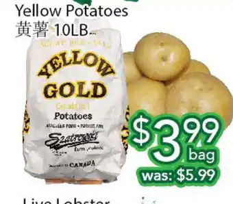 Ample Food Market Yellow potatoes offer