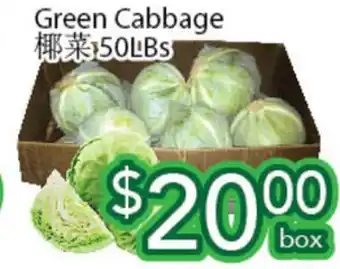 Ample Food Market Green cabbage offer