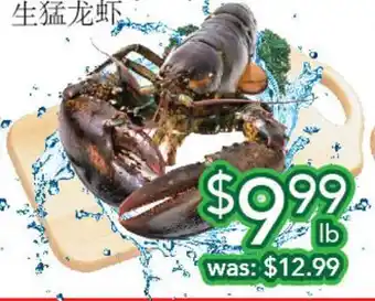 Ample Food Market Live lobster offer