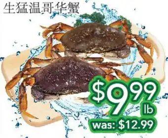 Ample Food Market Live bc crab offer