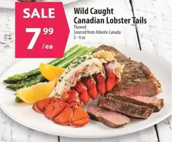 Co-op Wild Caught Canadian Lobster Tails offer