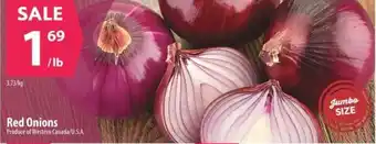 Co-op Red Onions offer