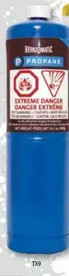 Bumper to Bumper Bernzomatic propane fuel cylinder offer