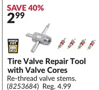 Princess Auto Tire valve repair tool with cores offer