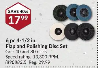 Princess Auto 6 pc 4-1/2 in. flap and polishing disc set offer