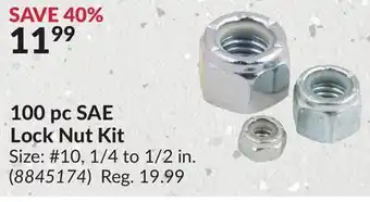 Princess Auto 100 pc sae lock nut kit offer