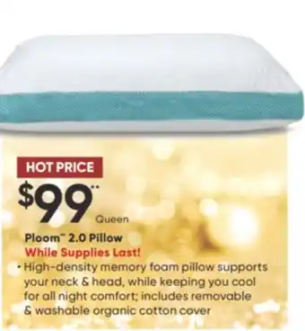 Sleep Country Ploom 2.0 pillow offer