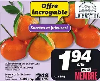 IGA Clementines with leaves offer