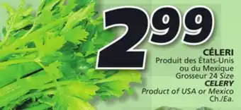IGA Celery offer