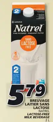 IGA Natrel lactose-free milk beverage offer