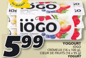 IGA Iögo yogurt offer