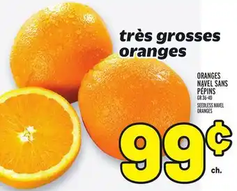 Metro Oranges navel sans pépins | seedless navel oranges offer