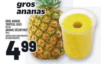 Metro Gros ananas tropical gold | tropical gold large pineapple offer