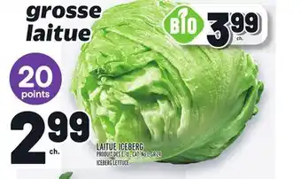 Metro Laitue iceberg | iceberg lettuce offer
