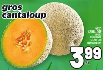 Metro Gros cantaloup | large cantaloupe offer