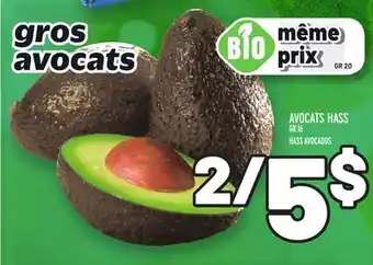 Metro Avocats hass | hass avocados offer