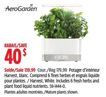 Canadian Tire Scotts harvest, white offer