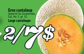 Marché Richelieu Gros cantaloup | large cantaloupe offer
