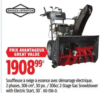 Canadian Tire Briggs & stratton 306cc 2-stage gas snowblower with electric start, 30˝ offer