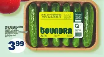 Marché Bonichoix Seedless mini cucumbers offer