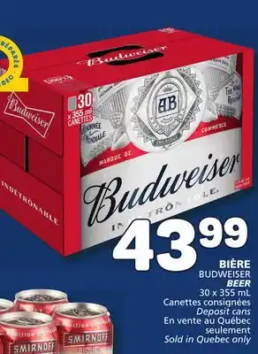 Marché Bonichoix Budweiser beer offer