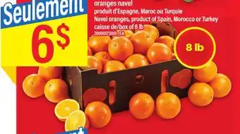 Maxi Oranges navel produit d'espagne, maroc ou turquie offer