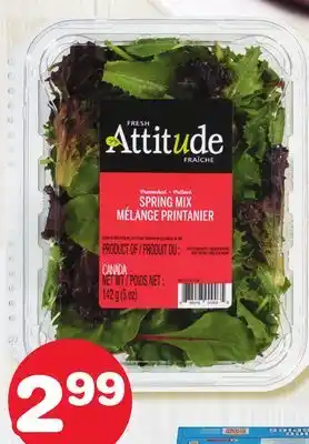 Marches Tradition Attitude lettuce or lettuce mix without toppings offer