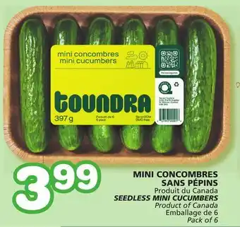 Marches Tradition Seedless mini cucumbers offer