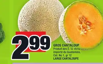 Super C Gros cantaloup | large cantaloupe offer