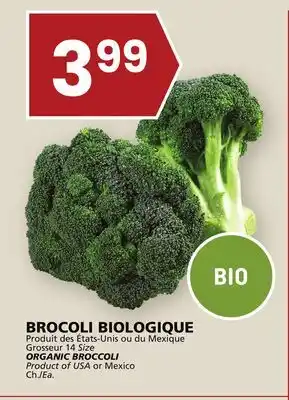 Rachelle-Bery Grocery Organic broccoli offer