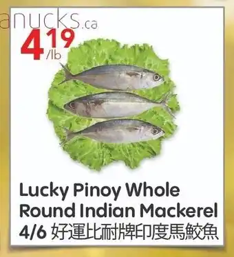 Lucky Pinoy Whole Round Indian Mackerel 4/6