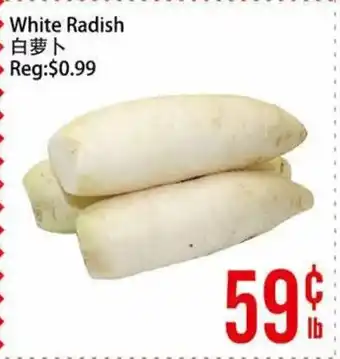 White Radish