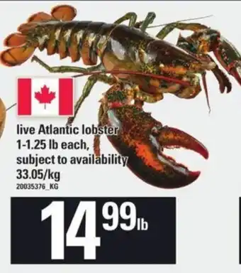 Loblaws Live Atlantic Lobster offer