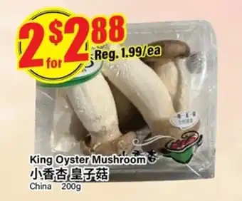 Btrust Supermarket King Oyster Mushroom offer