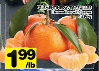 Supermarché PA Clementines with leaves offer