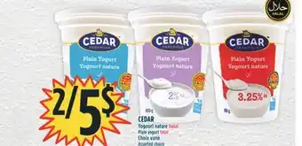 Marché Adonis Cedar yogourt nature offer