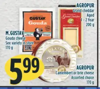 Marché Adonis M.gustav gouda cheese offer