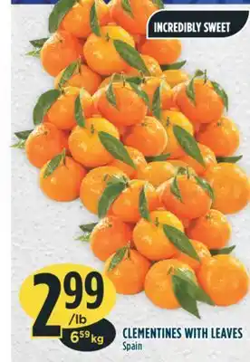 Marché Adonis Clementines with leaves offer