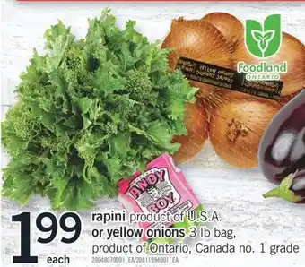 Fortinos Rapini product of u.s a. product of u.s a. or or yellow onions offer