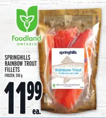 Metro Springhills rainbow trout fillets offer