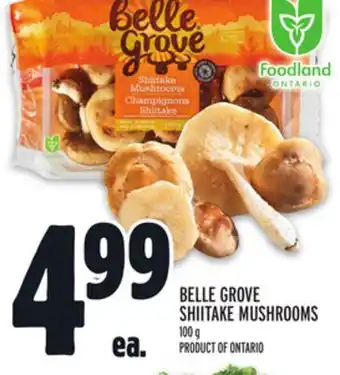 Metro Belle grove shiitake mushrooms offer