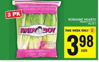 Food Basics Romaine hearts offer
