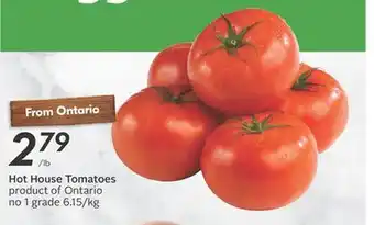 Sobeys Hot house tomatoes offer