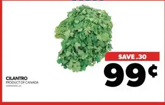 Real Canadian Superstore Cilantro offer