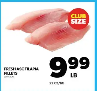 Real Canadian Superstore Fresh asc tilapia fillets offer