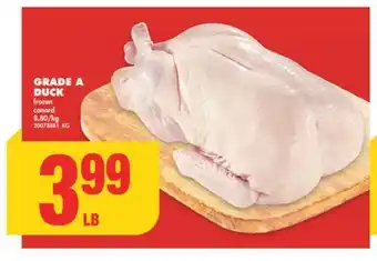 No Frills Grade a duck offer