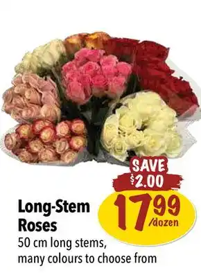 Farm Boy Long-stem roses offer
