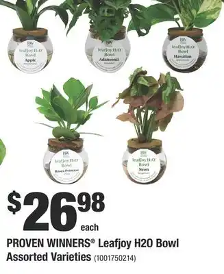 Home Depot Proven winners leafjoy h2o bowl assorted varieties offer