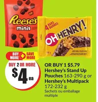Chalo FreshCo Hershey's stand up pouches 163-290 g or hershey's multipack 172-232 g offer