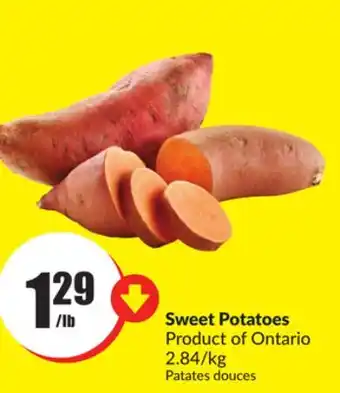 FreshCo Sweet potatoes product of ontario 2.84/kg offer